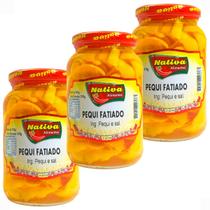 Kit com 3 Pequi Fatiado em Conserva Pote com 550g Nativa