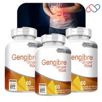 Kit com 3 Potes Gengibre Gástrico Respiratório Cólicas Flatulências Ronquidão Bronquite Tosse Catarro Má Digestão 500mg 180 Cápsulas Kit com 3 Potes Gengibre Gástrico Respiratório Cólicas Flatulências Ronquidão Bronquite Tosse Catarro Má Digestão 500mg 180 Cápsulas