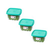 Kit com 3 Potes Quad de Plástico Marmita Sanremo 800ML Verde