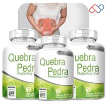 Kit com 3 Potes Quebra Pedra 500mg 180 Cápsulas