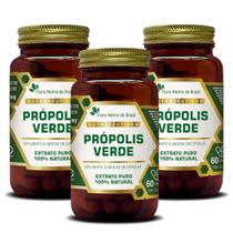 Kit Com 3 - Própolis Verde 60 Capsulas de 500mg Flora Nativa do Brasil