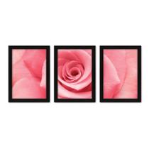 Kit Com 3 Quadros - Rosa Flor Natureza - 192kq02p