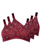 Kit com 3 Sutiãs Sustentação Olimpo Anizete Demillus 61741 Taça B Kit com 3 Sutiãs Sustentação Olimpo Anizete Demillus 61741 Taça B