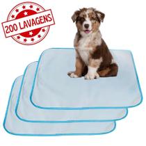 Kit com 3 Tapetes Adestradores de Alta Absorção 70x50 Branco com borda Azul - 200 Lavagens