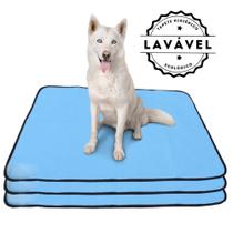 Kit com 3 Tapetinhos Alta Absorção para Pets 100x70 Azul - 200 Lavagens - Ecológico