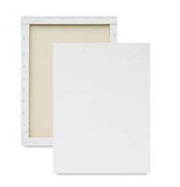 Kit com 3 Tela Para Pintura 50x70cm