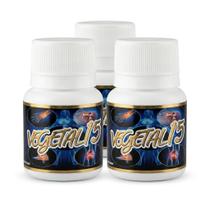 Kit com 3 Unidades Vegetal 15 500mg 15 Cápsulas Suplemento Alimentar Kit com 3 Unidades Vegetal 15 500mg 15 Cápsulas Suplemento Alimentar