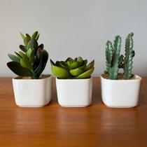Kit com 3 Vasinhos Decorativos Suculenta Mini Planta Permanente