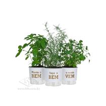 Kit com 3 Vasos Autoirrigáveis Plante o Bem Kit com 3 Vasos Autoirrigáveis Plante o Bem