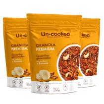 Kit Com 3Un Granola De Castanhas Banana Braw Uncooked 250G Kit Com 3Un Granola De Castanhas Banana Braw Uncooked 250G