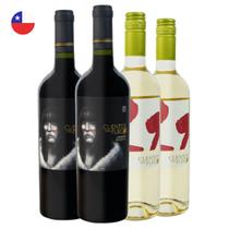 Kit com 4 - 2 Vinhos Reserva Carmenere e 2 Vinhos Branco Sauvignon Blanc 750ml