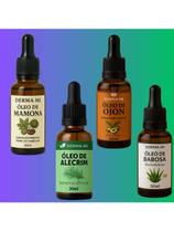 Kit com 4 Óleos Naturais Babosa + Alecrim + Ojon + Mamona Tratamento Capilar Completo para Hidra