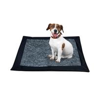 Kit Com 4 Tapetes Lavável Pet Ecológico Petslab Tamanho P 60x50