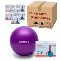 Kit com 5 Bolas Suicas de 55 Cm para Pilates e Yoga Cor Roxa Liveup Sports