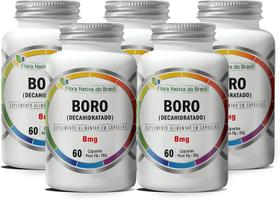 Kit Com 5 - Boro Decahidratado 8g 60 caps de 500mg FNB
