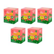 Kit com 5 Chás Leão Kids Morango e Maracujá com 10 Sachês