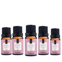 Kit com 5 Essencias Perfumadas Lavanda Francesa Via Aroma