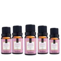 Kit com 5 Essencias Perfumadas Lavanda Francesa Via Aroma Kit com 5 Essencias Perfumadas Lavanda Francesa Via Aroma