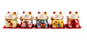 Kit Com 5 Maneki Neko Da Sorte Oriental Porcelana Gato ou Porco