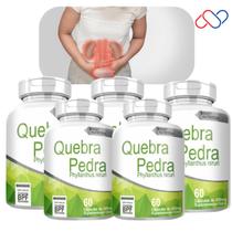 Kit com 5 Potes Quebra Pedra 500mg 300 Cápsulas