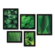 Kit Com 5 Quadros Decorativos - Folhas Natureza Folhagem - 094kq01p