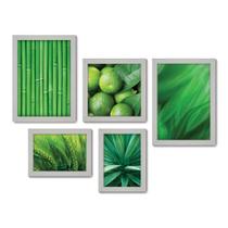 Kit Com 5 Quadros Decorativos - Folhas Natureza Verde Limão - 086kq01b
