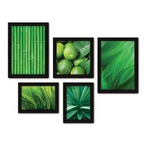 Kit Com 5 Quadros Decorativos - Folhas Natureza Verde Limão - 086kq01p