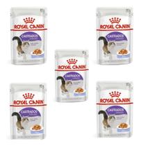 Kit Com 5 Sachê Royal Canin Castrados Adultos Jelly 85g Cada