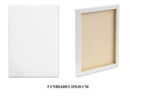 Kit com 5 Telas Para Pintura Tamanho 20x30cm Algodão