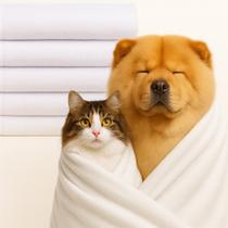 KIT Com 5 Toalhas Pet Grossa 400g Algodão, Alta Absorção e Maciez