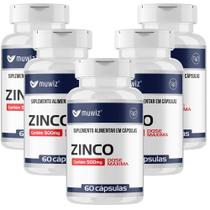 Kit Com 5 Zinco Dose Máxima 500mg 60 Cáps 453 da IDR Muwiz