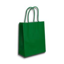 Kit com 50 Sacolas de Papel Verde G 23,5x10x31,5cm com Alça