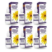 Kit com 6 Arnica Montana 4DH Solução 30ml Vidora