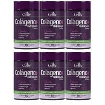 Kit Com 6 - Colágeno Hidrolisado + Ácido Hialurônico + Coenzima Q10 + Biotina 60 Cáps 500mg Kit Com 6 - Colágeno Hidrolisado + Ácido Hialurônico + Coenzima Q10 + Biotina 60 Cáps 500mg