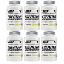 Kit Com 6 - Creatina 100% Pura 500Mg 120 Capsulas FNB Sport Nutrition