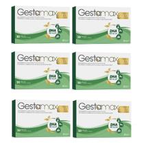 KIT com 6 Gestamax Gold Suplemento para Gestantes 30 Cáps