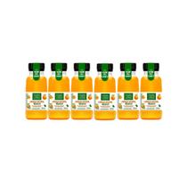 Kit com 6 Suco de Laranja Integral Garrafinha 250ml Campo Largo