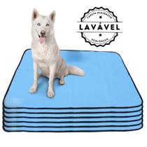 Kit com 6 Tapetes Adestradores Inteligente de Alta Absorção 100x70 Azul - 200 Lavagens - Vila Flor