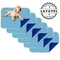 Kit com 6 Tapetes Higiênicos 70x50 Azul Laváveis para cães 200 Lavagens - Alta Absorção