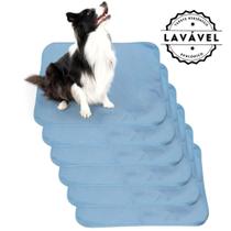 Kit com 6 Tapetinhos Alta Absorção para Pets 70x50 Azul 200 Lavagens Pee Dog Kit com 6 Tapetinhos Alta Absorção para Pets 70x50 Azul 200 Lavagens Pee Dog