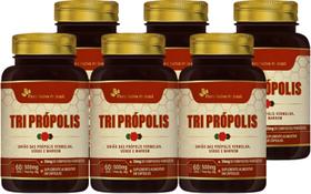 Kit Com 6 - Tri Própolis (Vermelha, Verde e Marrom) 60 Caps de 500mg Flora Nativa do Brasil Kit Com 6 - Tri Própolis (Vermelha, Verde e Marrom) 60 Caps de 500mg Flora Nativa do Brasil