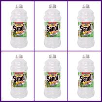 Kit com 6 unidades de desinfetante Sanol eucalipto 2 litros