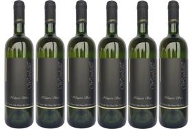 Kit Com 6 Vinhos de Mesa Branco Seco Niágara 750ML Weinhaus