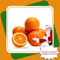 Kit com 7 Mudas de Laranja Natal Citrus Sinensis L. Osbeck. Para Sul e Sudeste