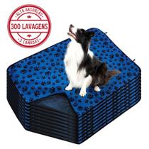 Kit com 9 Tapetinhos Alta Absorção para Pets 100x70 Patinha Azul - 300 Lavagens Ecológico Kit com 9 Tapetinhos Alta Absorção para Pets 100x70 Patinha Azul - 300 Lavagens Ecológico