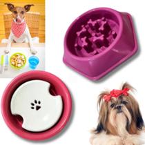 Kit Comedouro Lento E Bebedouro Para Pelos Longos Pet Grande Cachorro Cães Peludos