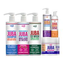 Kit Completo Encrespando A Juba Widi Care