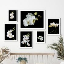 Kit Composição 6 Quadros Florais FotografiasOrquídeas - com vidro