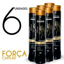 KIT Condicionador Begonia Força Capilar 400ml 6 Unds KIT Condicionador Begonia Força Capilar 400ml 6 Unds