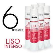 KIT Condicionador Begonia Liso Intenso 400ml 6 Unds